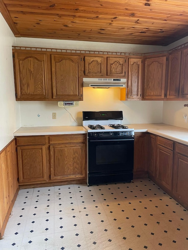 607 Clark St, Albert Lea, MN 56007 - photo 5
