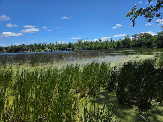 TBD 70th St, Georgetown Twp, WI 54810 - photo 7