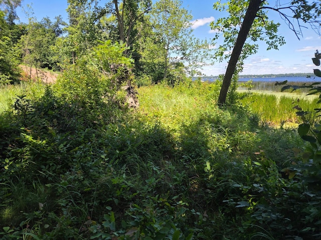 TBD 70th St, Georgetown Twp, WI 54810 - photo 8