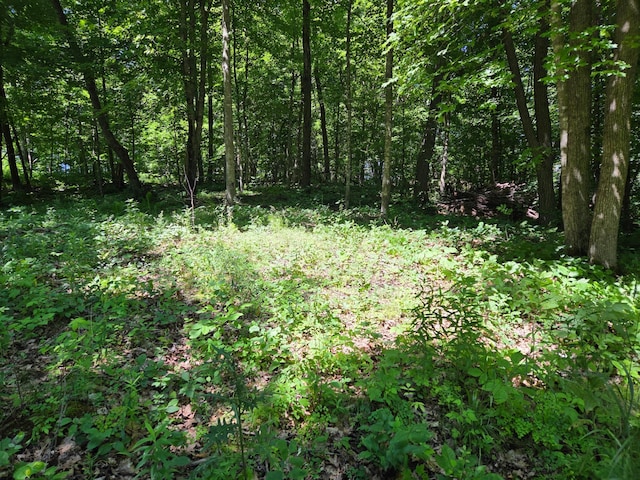 TBD 70th St, Georgetown Twp, WI 54810 - photo 11