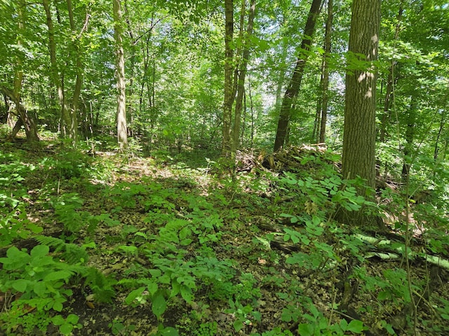 TBD 70th St, Georgetown Twp, WI 54810 - photo 13
