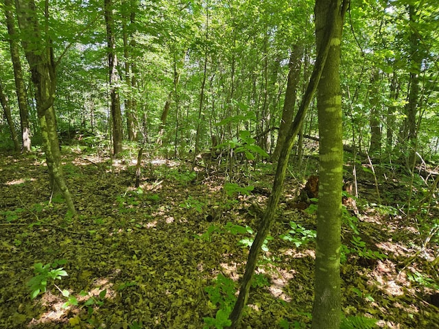 TBD 70th St, Georgetown Twp, WI 54810 - photo 14