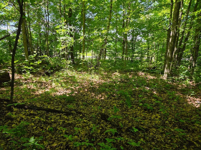 TBD 70th St, Georgetown Twp, WI 54810 - photo 15