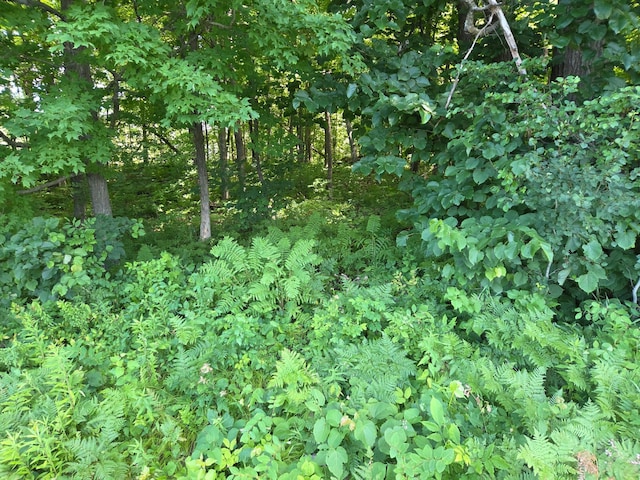 TBD 70th St, Georgetown Twp, WI 54810 - photo 16