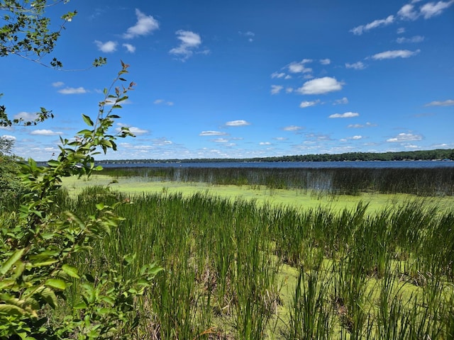 TBD 70th St, Georgetown Twp, WI 54810 - photo 21