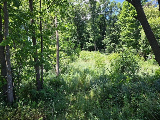 TBD 70th St, Georgetown Twp, WI 54810 - photo 22