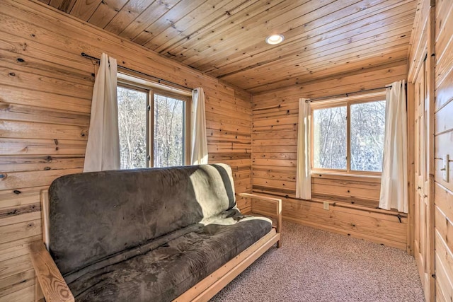 9341 Secluded Trl, Hayward, WI 54843 - photo 17