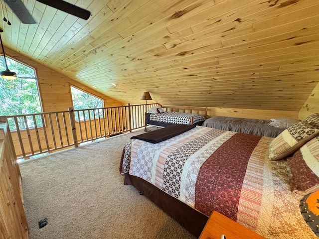 40619 320th Ln, Aitkin, MN 56431 - photo 51