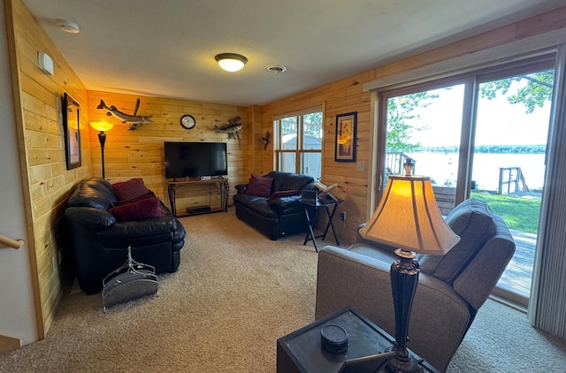 40619 320th Ln, Aitkin, MN 56431 - photo 58