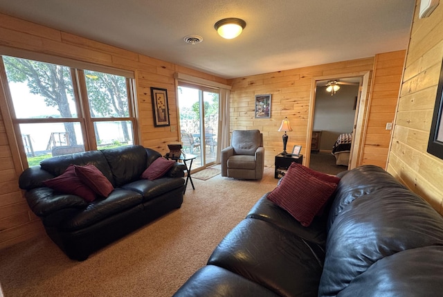 40619 320th Ln, Aitkin, MN 56431 - photo 61