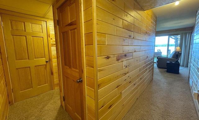 40619 320th Ln, Aitkin, MN 56431 - photo 67