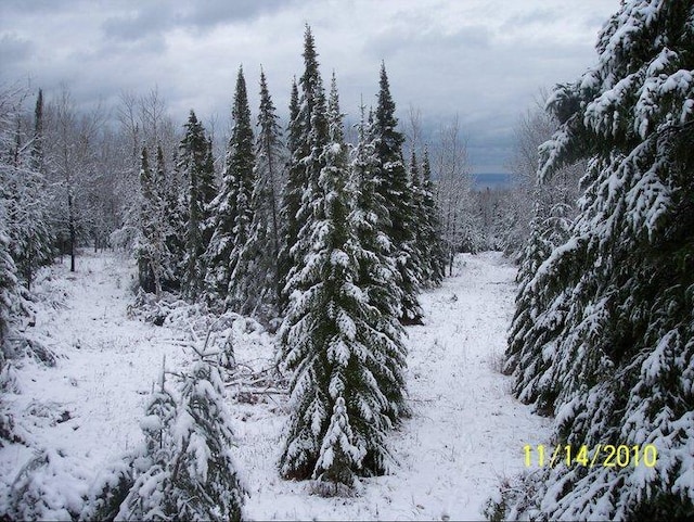 XX Stanley Rd, Two Harbors, MN 55616 - photo 3