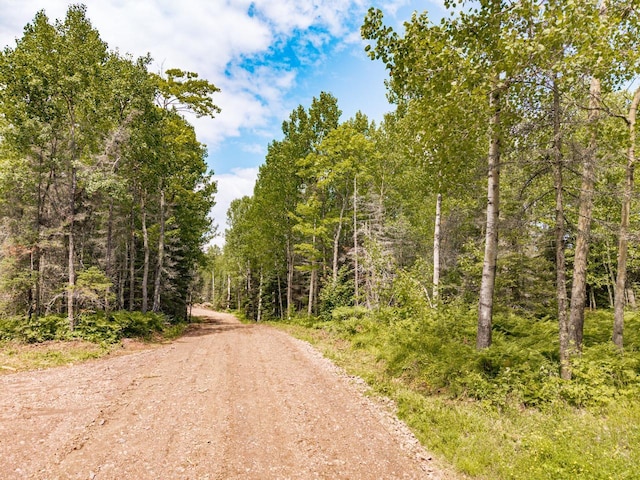 XX Stanley Rd, Two Harbors, MN 55616 - photo 4