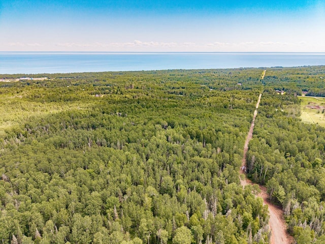 XX Stanley Rd, Two Harbors, MN 55616 - photo 5