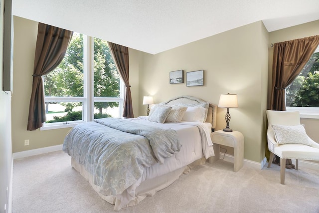 8141 Maplewood Ter, Chanhassen, MN 55317 - photo 31