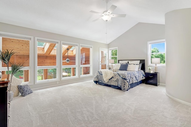 8141 Maplewood Ter, Chanhassen, MN 55317 - photo 40