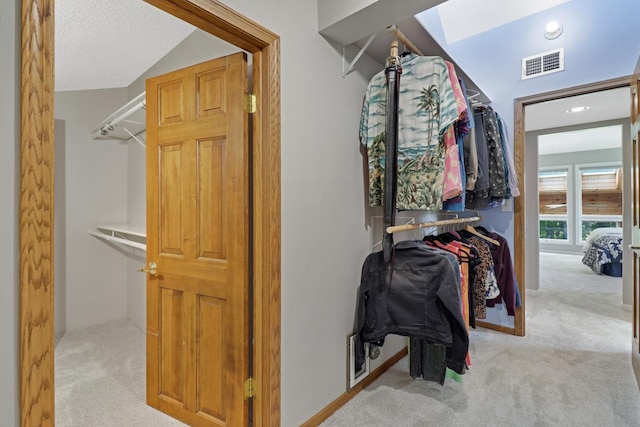 8141 Maplewood Ter, Chanhassen, MN 55317 - photo 44