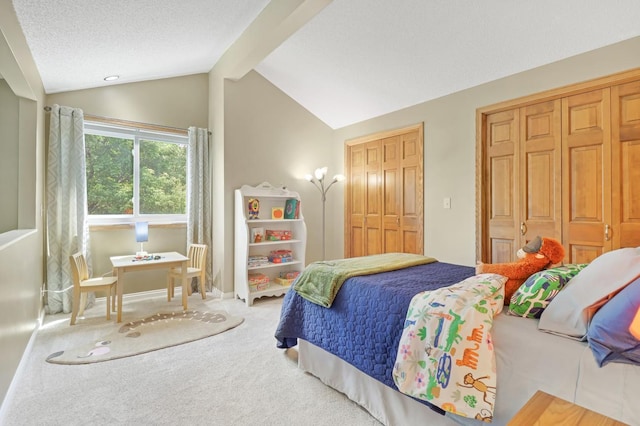 8141 Maplewood Ter, Chanhassen, MN 55317 - photo 54