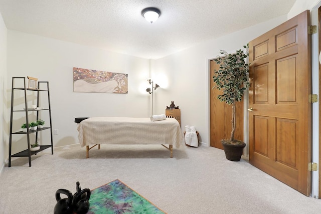 8141 Maplewood Ter, Chanhassen, MN 55317 - photo 62