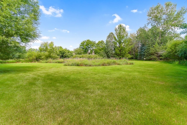 8141 Maplewood Ter, Chanhassen, MN 55317 - photo 91