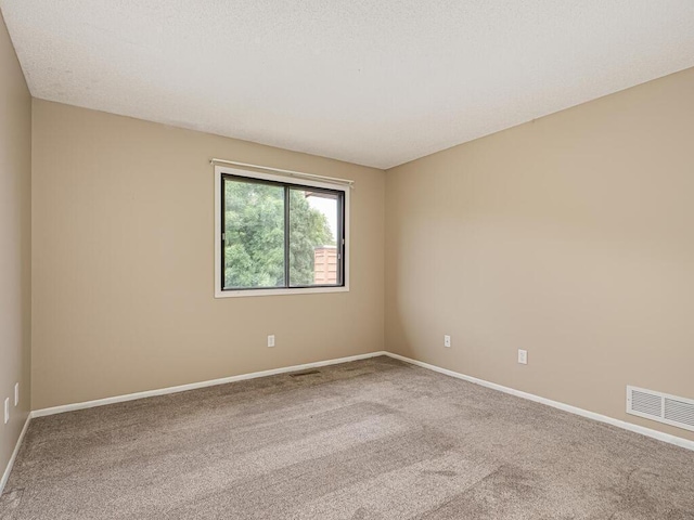 12583 Alder St NW, Coon Rapids, MN 55448 - photo 14