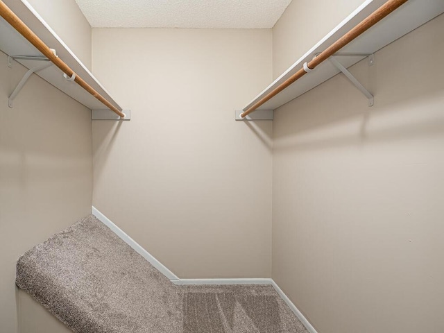 12583 Alder St NW, Coon Rapids, MN 55448 - photo 16
