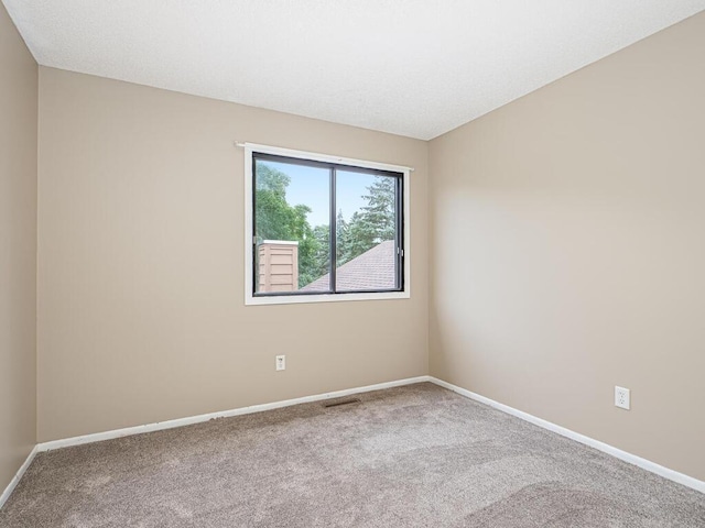 12583 Alder St NW, Coon Rapids, MN 55448 - photo 17
