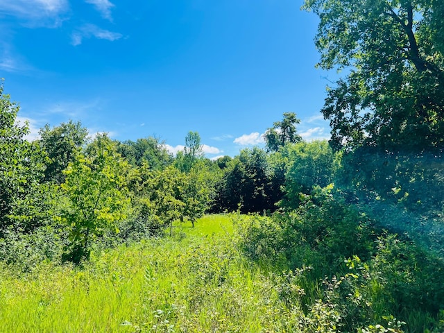 23097PARCELA State Highway 108, Lida Twp, MN 56572 - photo 16