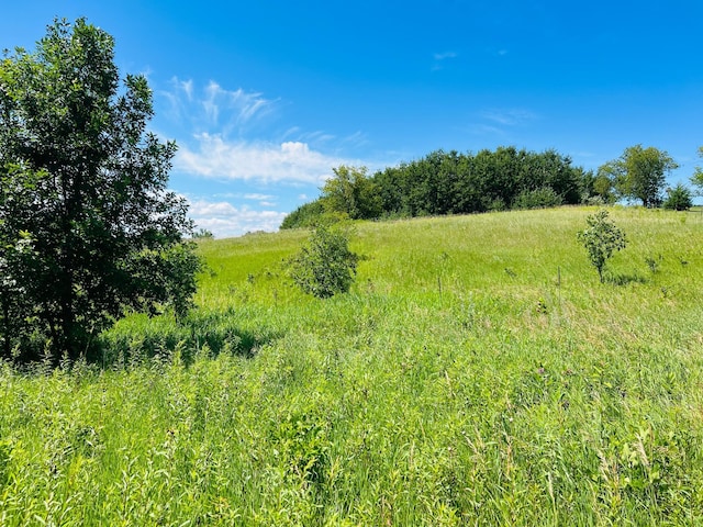 23097PARCELA State Highway 108, Lida Twp, MN 56572 - photo 10