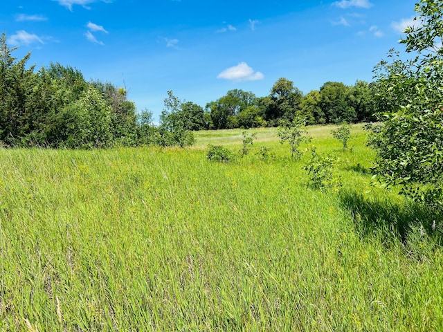 23097PARCELA State Highway 108, Lida Twp, MN 56572 - photo 7