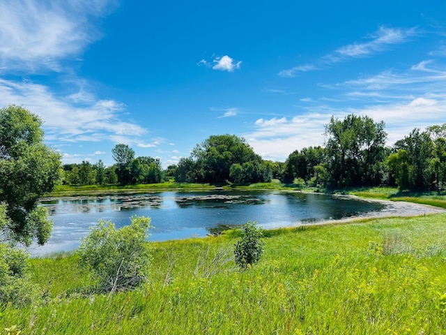 23097PARCELA State Highway 108, Lida Twp, MN 56572 - photo 4