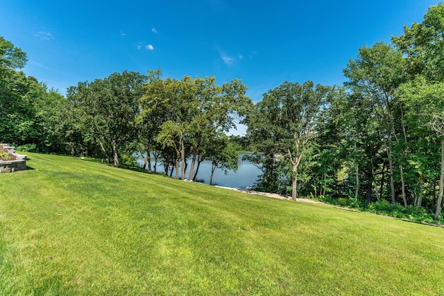 29477 Pelican Scenic View Rd, Pelican Lake Twp, MN 56309 - photo 21