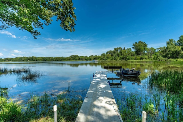 29477 Pelican Scenic View Rd, Pelican Lake Twp, MN 56309 - photo 24