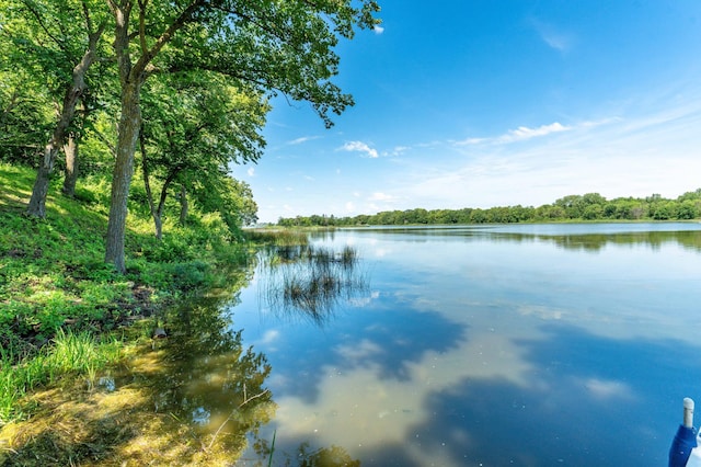 29477 Pelican Scenic View Rd, Pelican Lake Twp, MN 56309 - photo 25