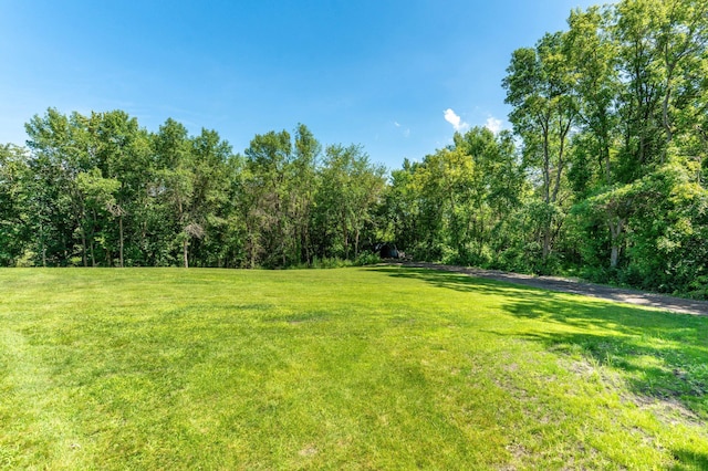 29477 Pelican Scenic View Rd, Pelican Lake Twp, MN 56309 - photo 28