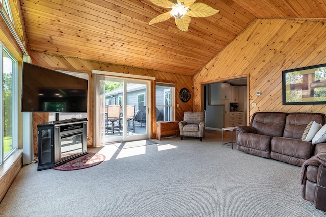 29477 Pelican Scenic View Rd, Pelican Lake Twp, MN 56309 - photo 45