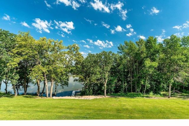 29477 Pelican Scenic View Rd, Pelican Lake Twp, MN 56309 - photo 55