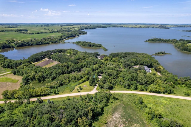 29477 Pelican Scenic View Rd, Pelican Lake Twp, MN 56309 - photo 102