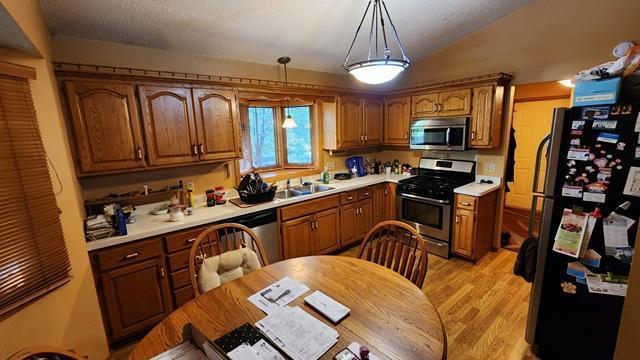 19110 Euclid Path, Farmington, MN 55024 - photo 2