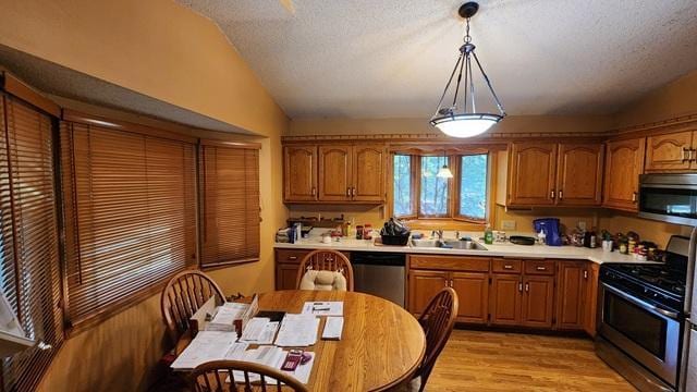 19110 Euclid Path, Farmington, MN 55024 - photo 8