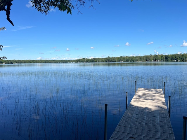 337XX Mcneil Rd, Aitkin, MN 56431 - photo 1