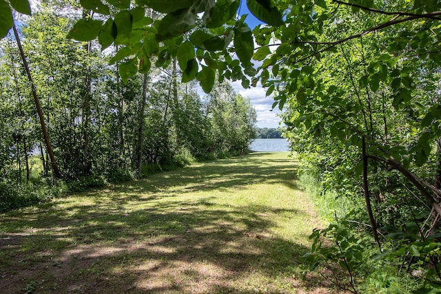 19896 Overlook Ridge Rd, Emily, MN 56447 - photo 5