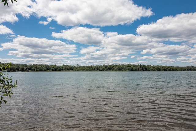 19896 Overlook Ridge Rd, Emily, MN 56447 - photo 6