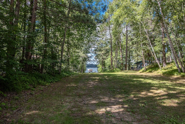 19896 Overlook Ridge Rd, Emily, MN 56447 - photo 30