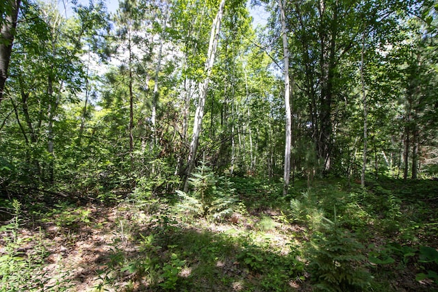 19896 Overlook Ridge Rd, Emily, MN 56447 - photo 35