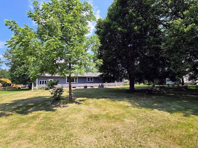229 Oak St, Tyler, MN 56178 - photo 39