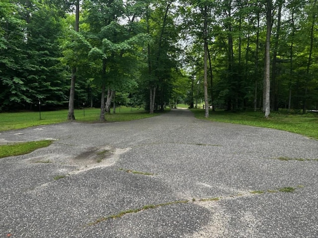 3415 Green Forest Dr NW, Longville, MN 56655 - photo 26