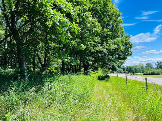 23097-PARCELG State Highway 108, Lida Twp, MN 56572 - photo 6