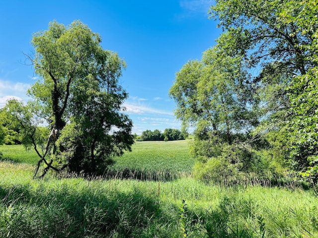23097-PARCELH State Highway 108, Lida Twp, MN 56572 - photo 6