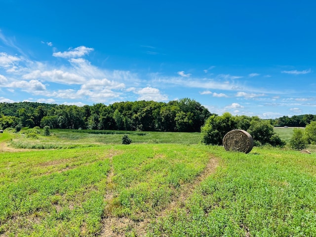 23097-PARCELH State Highway 108, Lida Twp, MN 56572 - photo 8
